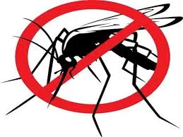 Disinfestazione insetti nella notte fra il 18 e il 19 Luglio 2024
